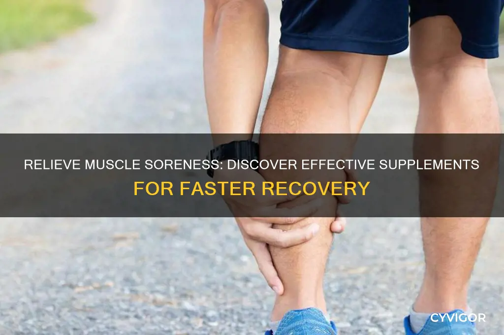 is there a supplement for sore muscles