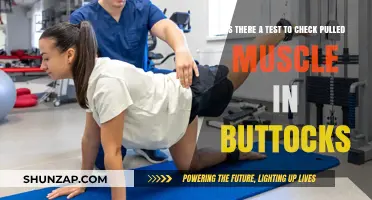 Pulled Muscle in Buttocks: Diagnostic Tests and Treatment Options