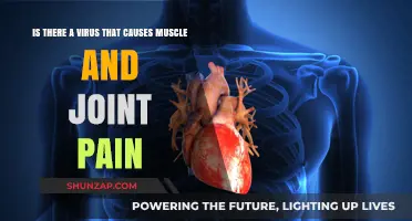 How Viruses Cause Muscle and Joint Pain