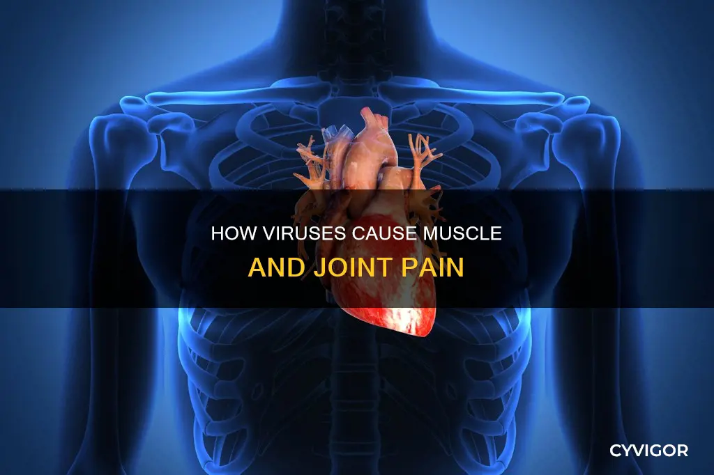 is there a virus that causes muscle and joint pain