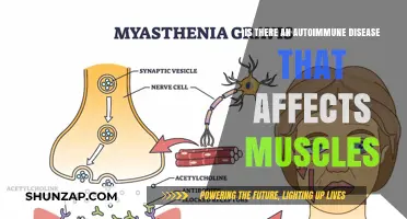Exploring Autoimmune Disorders: Can They Impact Muscle Health?