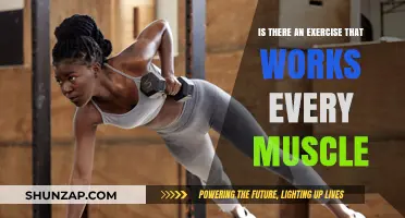 Full-Body Fitness: Discovering the Ultimate Muscle-Engaging Exercise