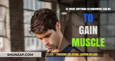 Ectomorph Muscle Gain: Strategies for Building Mass Effectively