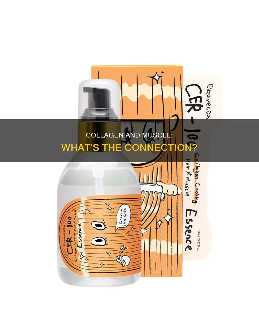 is there collagen in muscle