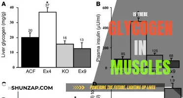 Muscle Glycogen: What's the Deal?
