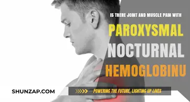 Understanding Paroxysmal Nocturnal Hemoglobinuria: Joint and Muscle Pain Explained