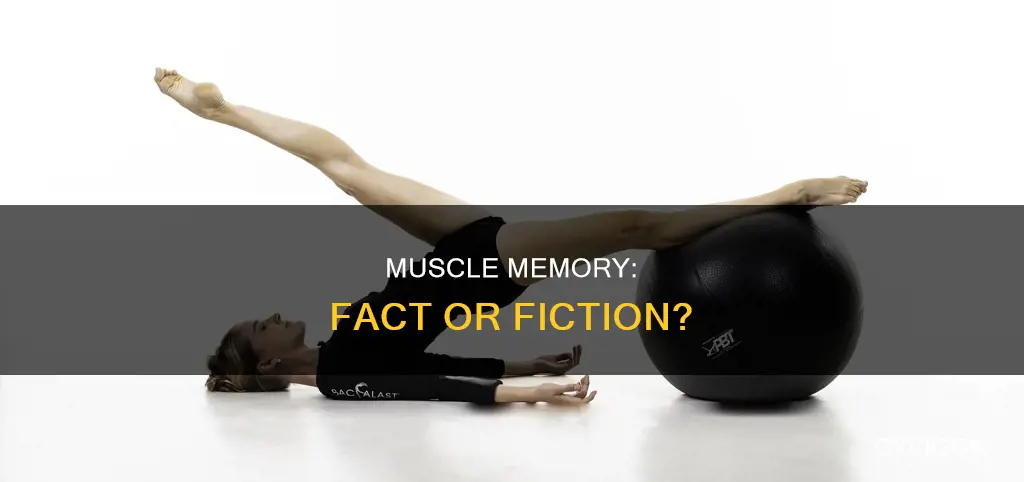 is there muscle memory