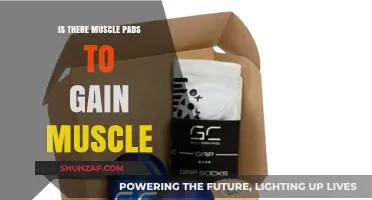 Muscle Pads for Muscle Gain: Fact or Fiction?