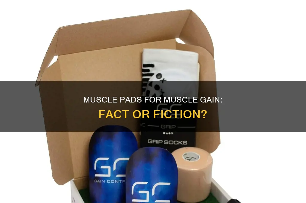 is there muscle pads to gain muscle