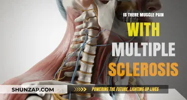 Muscle Pain and Multiple Sclerosis: Understanding the Connection