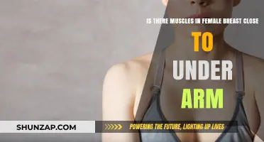 Understanding Female Breast Muscles Near the Underarm: Facts and Insights