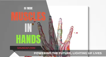 Exploring the Intricate Muscles in Our Hands