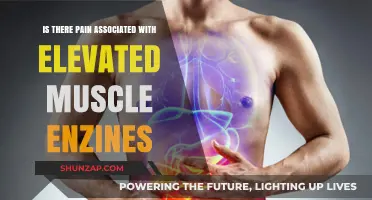 Elevated Muscle Enzymes: Unraveling the Pain Connection and Causes