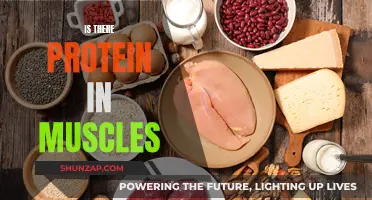Muscle Protein: What's the Deal?