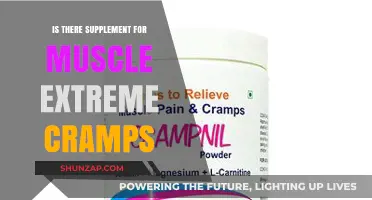 Exploring Supplements to Ease Muscle Cramps: A Comprehensive Guide