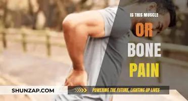 Muscle or Bone Pain: How to Identify and Treat the Source