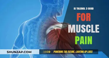Is Tylenol 3 Effective for Relieving Muscle Pain? A Review