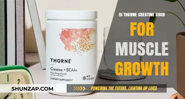 Unlocking Muscle Growth: The Benefits of Thorne Creatine