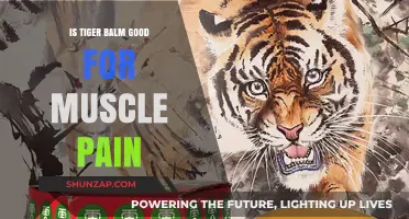 Exploring Tiger Balm's Efficacy: A Natural Remedy for Muscle Pain Relief