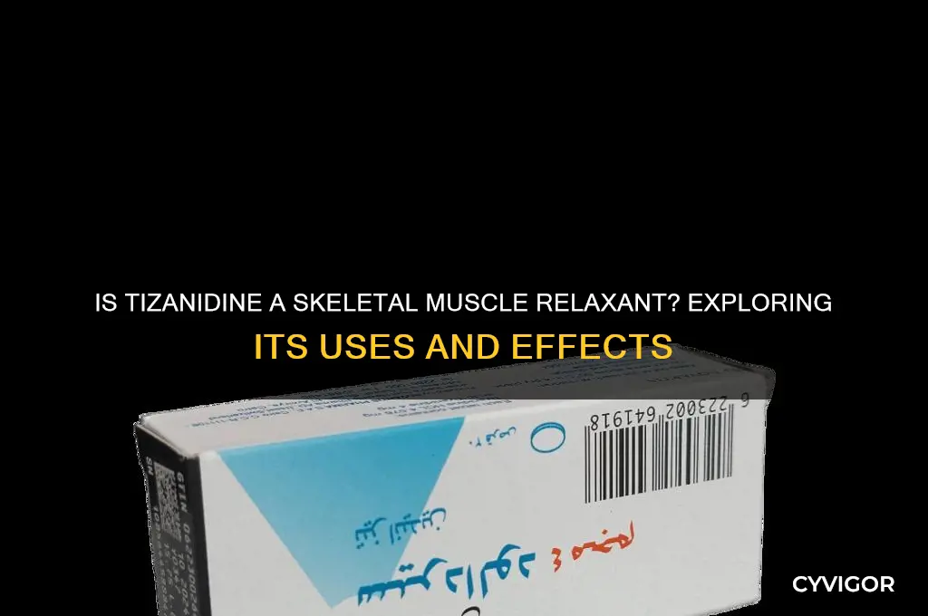 is tizanidine a skeletal muscle relaxant