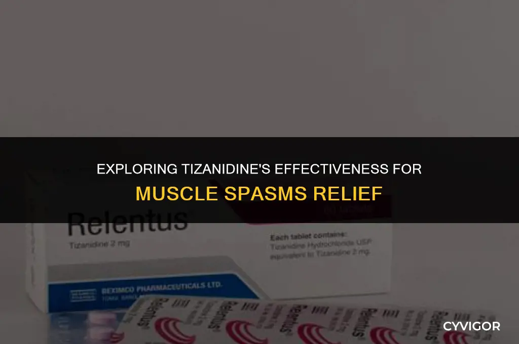 is tizanidine good for muscle spasms