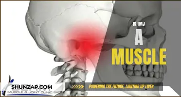 TMJ and Muscles: What's the Connection?