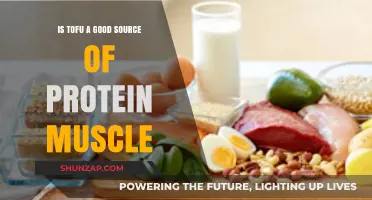 Unlocking the Power of Tofu: A Complete Protein Source for Muscle Building