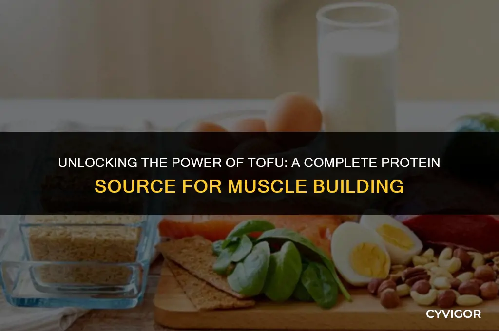 is tofu a good source of protein muscle