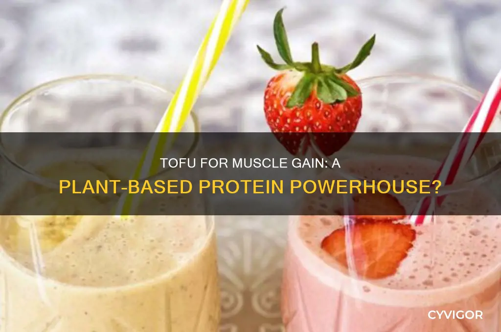 is tofu good for muscle gain