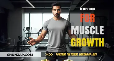 Tofu for Muscle Growth: Separating Fact from Fiction