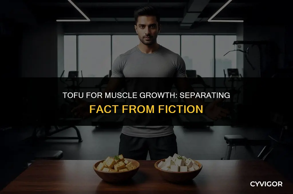 is tofu good for muscle growth