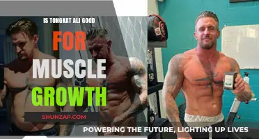 Unlocking Muscle Growth Potential: The Truth About Tongkat Ali