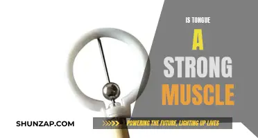 Tongue Muscle: Strong, Powerful, and Super Flexible?