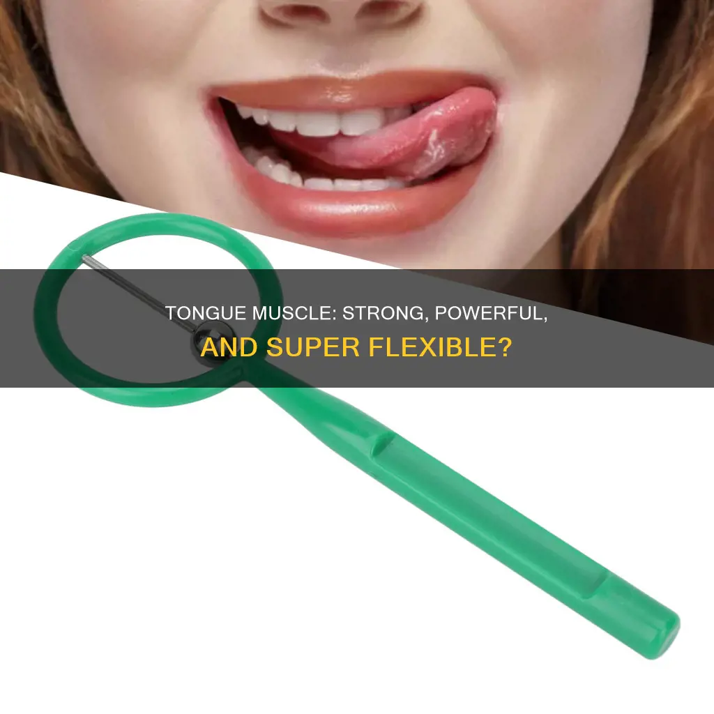 is tongue a strong muscle