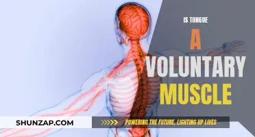 Tongue Muscle Mystery: Voluntary or Involuntary?