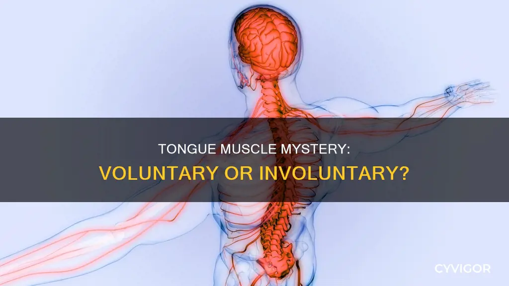 is tongue a voluntary muscle