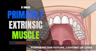 Tongue's Intrinsic Nature: Is It All Extrinsic?