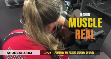 Muscle Toning: Fact or Fiction?