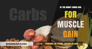 Carbs and Muscle Gain: Debunking Myths for Optimal Results