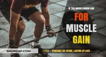 Cardio and Muscle Gain: Finding Balance for Optimal Results