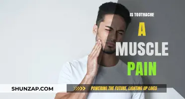 Toothache vs. Muscle Pain: Understanding the Difference and Causes