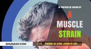 Understanding Torticollis: Muscle Strain or Something More?