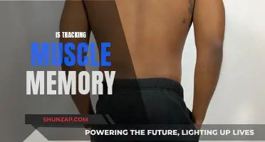 Tracking Muscle Memory: The Science of Movement Retention