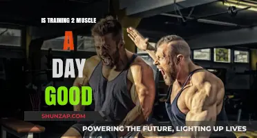 Is Training Two Muscle Groups a Day Effective for Muscle Growth?