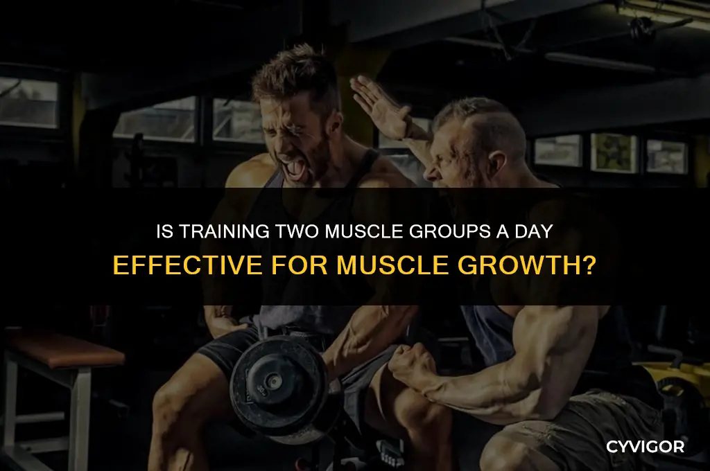 is training 2 muscle a day good
