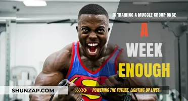 Is Weekly Muscle Group Training Sufficient for Optimal Growth?