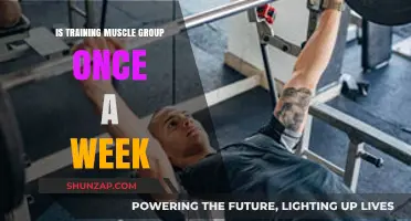 Is Training Muscle Groups Once Weekly Optimal for Growth and Recovery?