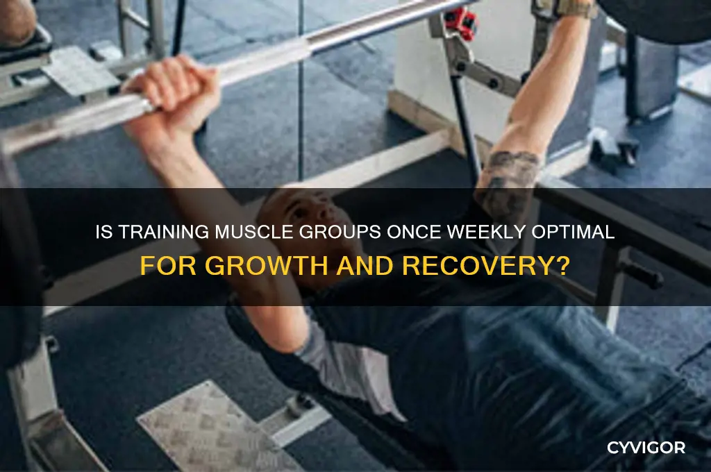 is training muscle group once a week