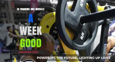 Is Training One Muscle a Week Good? A Comprehensive Guide to Effective Workout Routines