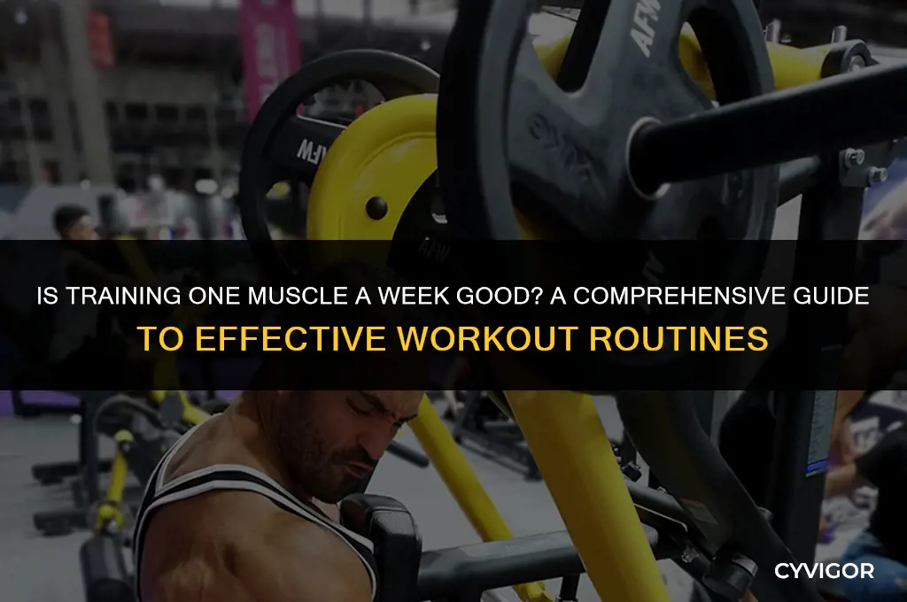 is training one muscle a week good